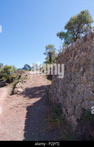 Zu Fuß Weg Natur Landschaftsansicht im Tramuntana-Gebirge zwischen Sóller und Cala Tuent, Mallorca, Spanien. Stockfoto