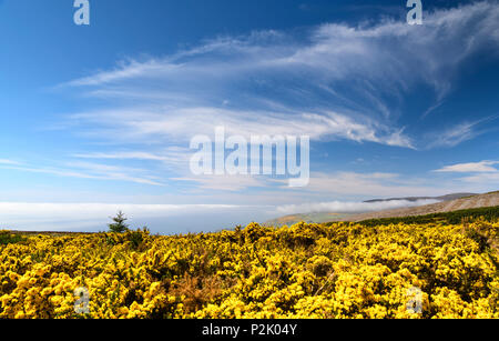 Mit Blick auf ein Meer fret oder 5,2Km an der Ostküste von Schottland in der Nähe von Boat of Garten, Schottland. 27. Mai 2018 Stockfoto