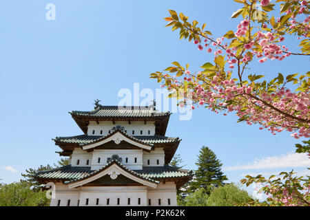 Detail der Hirosaki Schloss von Kirschblüten eingerahmt, im Vordergrund. Hirosaki, Präfektur Aomori, Japan. Stockfoto