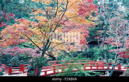 Cherry Blossom, Brücke, Kintaikyo Iwakumi, Yamaguchi, Japan Stockfoto
