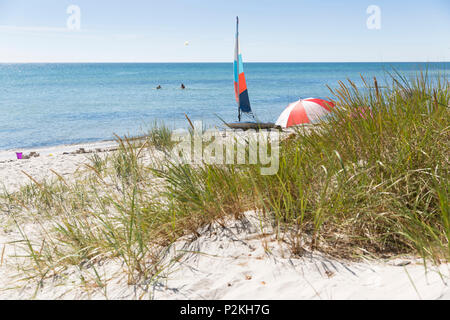 Windsurfen, Board, Traumstrand zwischen und Dueodde Strandmarken, Sandstrand, Sommer, Ostsee, Bornholm, Strandmarken, Denma Stockfoto