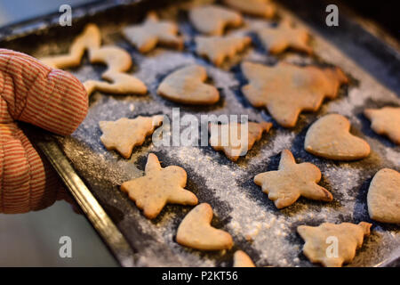 11 Jahre alte Mädchen backen Weihnachtsplätzchen, Hamburg, Deutschland Stockfoto