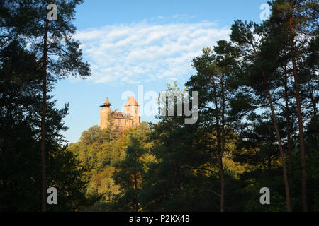 Burg Berwartstein, in der Nähe von Erlenbach, Dahner Felsenland, Pfälzer Wald, Rheinland-Pfalz, Deutschland Stockfoto