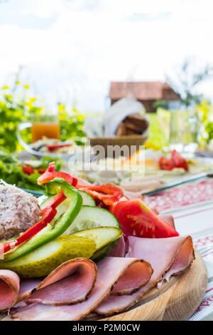 Brettljause, traditionelle kalte Platte mit Fleisch, Käse, Fisch, Gemüse, Brot und Getränke auf Holztisch im Weinberg mit Hütte in der Steiermark, Österreich Stockfoto