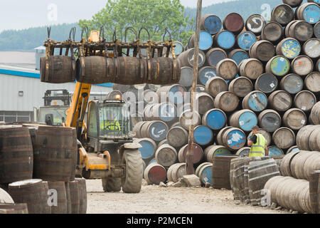 Fässer Whisky Speyside Böttcherei, Craigellachie, Aberdeenshire, Schottland, Großbritannien Stockfoto