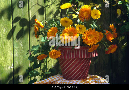 In der Nähe von orange Tagetes rot gestreiften Stoff Blumentopf abgedeckt Stockfoto