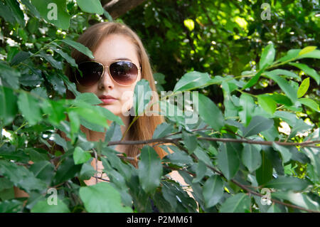 Hübsches Mädchen tragen Sonnenbrillen umgeben von Bäumen Stockfoto