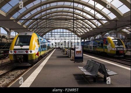Frankreich, Paris, Reims, Blick ins Innere des Centre Reims Station mit zwei Züge auf den Plattformen Stockfoto