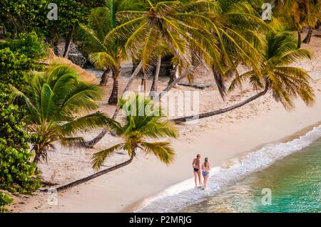 Karibik, Kleine Antillen, St. Vincent und die Grenadinen, Mayreau Island, Salt Whistle Bay und Coconut Grove. Stockfoto