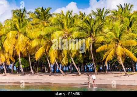Karibik, Kleine Antillen, St. Vincent und die Grenadinen, Mayreau Island, Salt Whistle Bay und Coconut Grove. Stockfoto