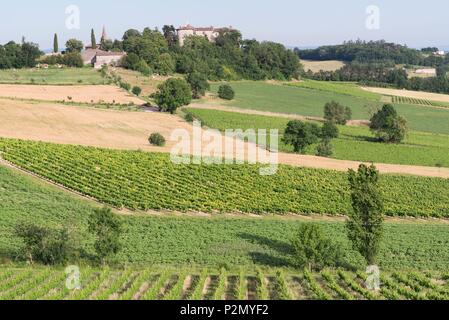 Frankreich, Tarn, Senouillac, Chateau de Mauriac, Weinberge von Gaillac, wenig Toskana Stockfoto