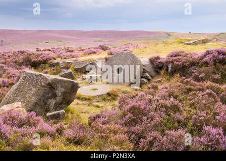 Derbyshire, Großbritannien: 24. Aug. 2014: Verlassene mühlstein von pink Heather in Blüte umgeben, am 24. August in Hathersage Moor, Peak District Stockfoto