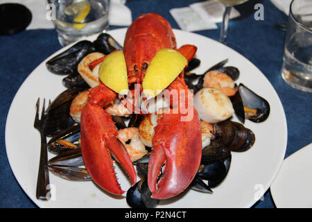 Red Lobster Platte mit Muscheln und Scalops Stockfoto