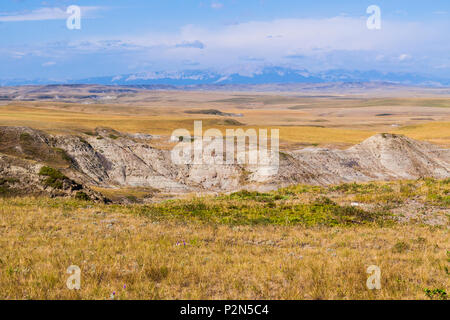 Wiesen am Berg in der Nähe ei Choteau, Montana. Ei Berg mit Nestern und Eiern der Duck-billed Dinosaurier, Maiasaura peeblesorum. Stockfoto