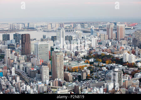 Odaiba, Bucht und die Rainbow Bridge von oben im Herbst, Minato-ku, Tokyo, Japan Stockfoto