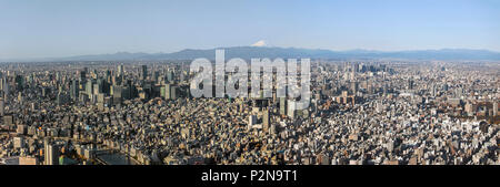 Weitwinkel Skyline von Downtown Tokyo mit Mt. Fuji an frühen Morgen, Sumida-ku, Tokyo, Japan Stockfoto