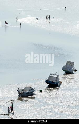 Frankreich, Finistere, Locquirec, Angeln zu Fuß bei Ebbe in der Bucht von Port Stockfoto