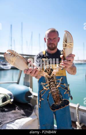 Frankreich, Cotes d'Armor, Trebeurden, Fischer und Hummer im Hafen Stockfoto