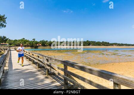 Frankreich, Landes, Capbreton, ein zweiter Lauf am See Hossegor Stockfoto