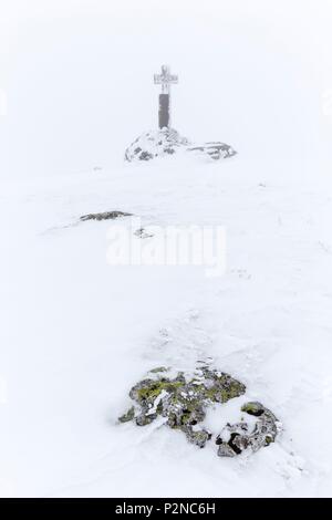 Frankreich, Lozère, Aubrac Regionaler Naturpark, Nasbinals, Granit Kreuz im Nebel und Frost in der Nähe des Sees von Des Moines abgedeckt Stockfoto