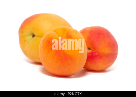 Blick auf leckere Armenischen Pflaumen (Prunus Armeniaca) über einem weißen Holz- Hintergrund. Stockfoto