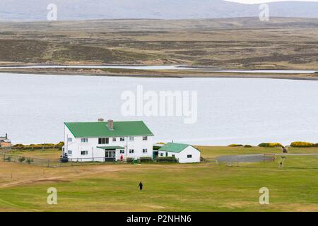 Falklandinseln, die Beilegung von Darwin im East Falkland Stockfoto