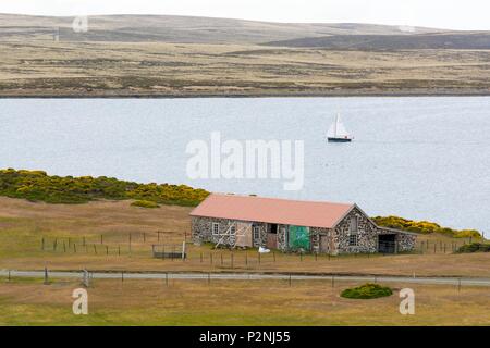 Falklandinseln, die Beilegung von Darwin im East Falkland Stockfoto