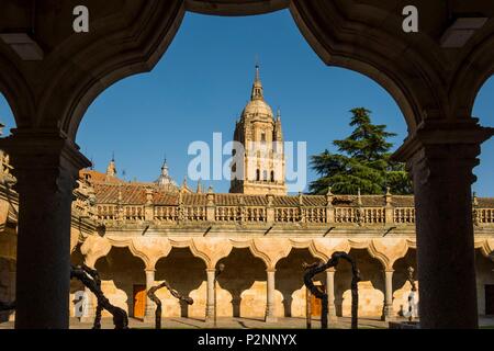 Spanien, Kastilien und Leon, Salamanca, Universität von Salamanca von Alfonso IX. von Leon in 1218 gegründet Die Altstadt von Salamanca ist eine als Weltkulturerbe der UNESCO Stockfoto