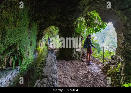 Portugal, Madeira, wandern zu den Caldeirao Verde und Caldeirao do Inferno im Herzen der Laurissilva Wald oder lorbeerwald als Weltkulturerbe von der UNESCO klassifiziert, Entlang der Levada do Caldeirao Verde Stockfoto