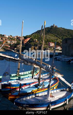 Frankreich, Pyrenees Orientales, Collioure, Katalanisch Boote Stockfoto