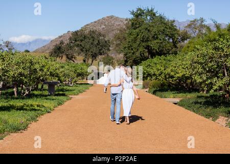 Südafrika, Western Cape, Paar Flitterwochen in der wunderschönen Gegend von?? Babylonstoren, auf der Weinstraße, in der Weinregion, in der Nähe von Stellenbosch Stockfoto