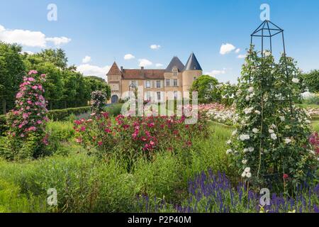 Frankreich, Gironde, Sauternes, Chateau Yquem, 1er Cru Superieur 1855, AOC Sauternes Stockfoto