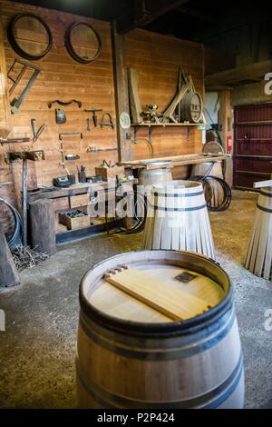 Frankreich, Gironde, Martillac, AOC Pessac Leognan, Chateau de Smith Haut Lafitte, Grand Cru Classe Graves, Fass, Bereich Stockfoto