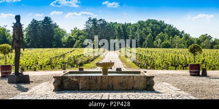 Frankreich, Gironde, Martillac, AOC Pessac Leognan, Chateau de Smith Haut Lafitte, Grand Cru Classe Graves Stockfoto