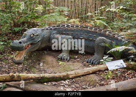 Frankreich, Ariège, Le Mas d'Azil, Park Museum der Dinosaurier Wald, Darstellung von Sarcosuchus Imperator Stockfoto