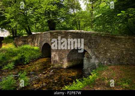 England, Cornwall, Bodmin Moor, Treverbyn, alte Stein packesel Brücke über den Fluss Fowey Stockfoto