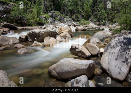 Lange Belichtung eines Abschnitts der North Fork des Stanislaus River durch Calaveras große Bäume State Park, Kalifornien, USA, auf einem klaren Himmel d Stockfoto