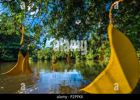 Frankreich, Französisch Guyana, Kourou, Wapa Lodge, Wapa Saatgut in Kourou Fluss Stockfoto