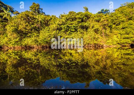 Frankreich, Kourou, Französisch-Guayana, Camp Canopee, Bank der Kourou Fluss, wo der Regenwald ist wider Stockfoto