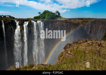 Viktoriafälle, Simbabwe Stockfoto