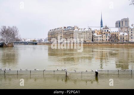 Frankreich, Paris, Bereich als Weltkulturerbe von der UNESCO, Januar 2018 Hochwasser, Quai de l'Hotel de Ville, Ile de la Cite mit der Kathedrale Notre Dame, Schneefälle 07/02/2018 Stockfoto