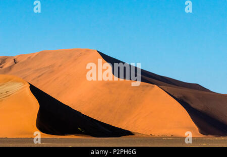 Düne 45 im südlichen Namibwüste, Sossusvlei, Namib-Naukluft-Nationalpark, Otjozondjupa Region, Namibia Stockfoto