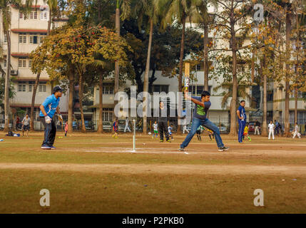 MUMBAI, INDIEN - Januar 14, 2017: Männer Kricket spielen mit Tennis Ball in Mumbai gründen Stockfoto