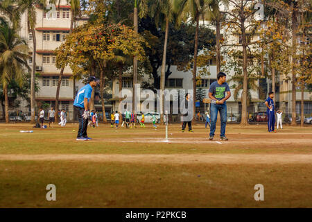 MUMBAI, INDIEN - Januar 14, 2017: Männer Kricket spielen mit Tennis Ball in Mumbai gründen Stockfoto