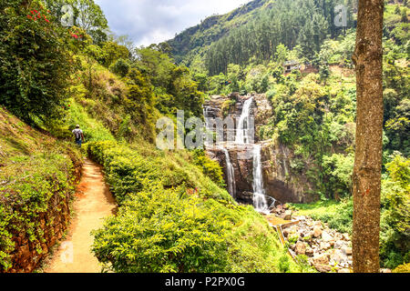 Blick auf ein Dschungel, Wasserfall, genannt Ramboda, zwischen Teeplantagen in Sri Lanka. Stockfoto