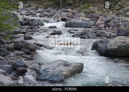 Fluss Wasser mit Kohlensäure zwischen Steinen Stockfoto