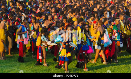 Swazi Mädchen Parade in Umhlanga (Reed Dance Festival), Swasiland Stockfoto