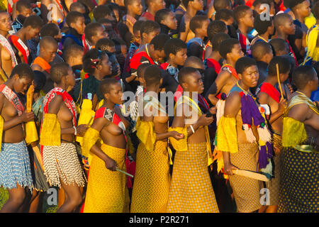 Swazi Mädchen Parade in Umhlanga (Reed Dance Festival), Swasiland Stockfoto