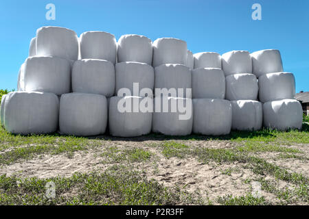 Große Silageballen in weißem Kunststoff verpackt auf jeder anderen in blauer Himmel Stockfoto