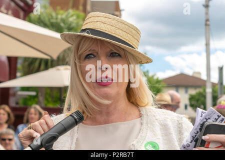 Glasthule, Irland, 16. Juni 2018. Glasthule und Sandycove Going Green eine Gruppe von kleinen und mittleren Unternehmen auf die Reduzierung der Kunststoff mit Minister Mary Mitchell O'Connor T.D und Dr. Ruth Doyle, Credit: Fabrice Jolivet/Alamy Leben Nachrichten konzentriert Stockfoto